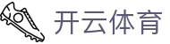 开云·体育(中国)官方网站_KAIYUN SPORTS